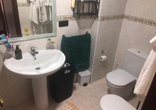 La salle de bains est pourvue d'un lavabo, de toilettes et d'un miroir. dans l'établissement Mi Casa, à Miño