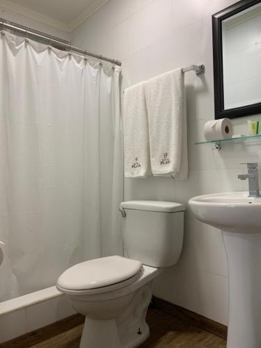a white bathroom with a toilet and a sink at Hotel Plaza in Santiago