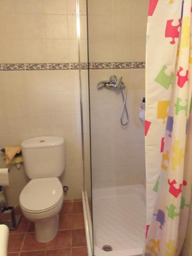 ein Bad mit einem WC und einer Dusche in der Unterkunft Casa la Era in Salas Bajas