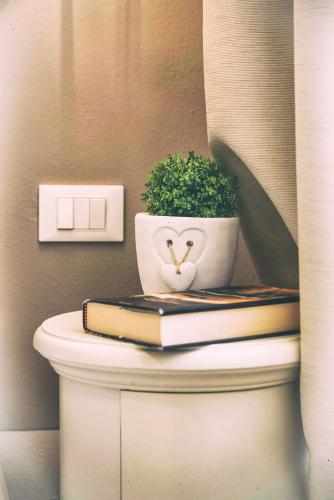a plant sitting on top of a toilet with a book at Tosca's House in Palaia