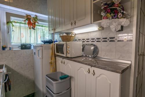 Kuchyňa alebo kuchynka v ubytovaní Lake Balaton Apartmanház