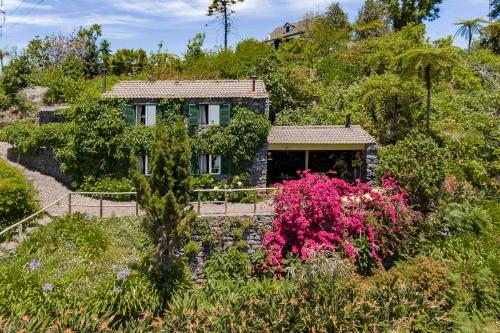 Quinta Devónia by an island apart
