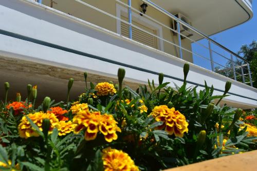Imagen de la galería de Foti Rooms, en Himare