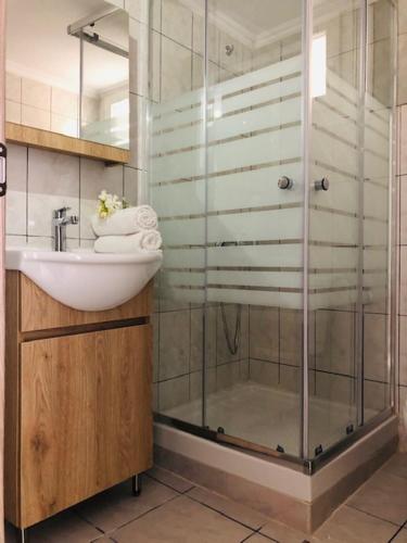 a bathroom with a glass shower and a sink at Sofimel Apartment in Skala Sotiros