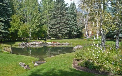 a pond in the middle of a garden at Dollar Meadows #1373 in Sun Valley