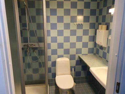 ein Badezimmer mit Toilette, Waschbecken und Dusche in der Unterkunft Luontoleirikeskus Lankari in Seinäjoki