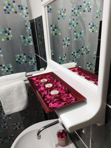 a bathroom with pink roses in a tray on a sink at Vila Stefanovic in Soko Banja