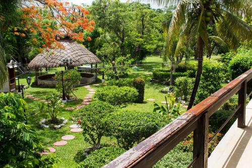 um jardim a partir da varanda de um resort em Hotel Cozumel Costa Brava em Cozumel