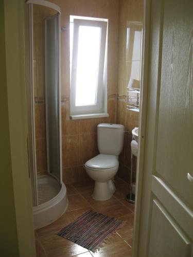 a bathroom with a toilet and a window at Pensiunea Igazland *** in Dumbrava