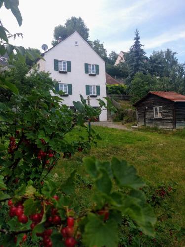 Κήπος έξω από το Old Bavarian House on the Romantic Road