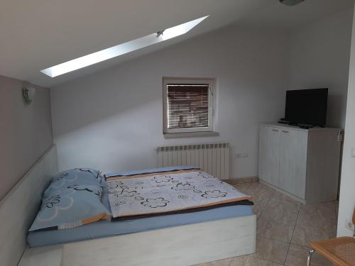 TV a/nebo společenská místnost v ubytování Apartma & RAfting