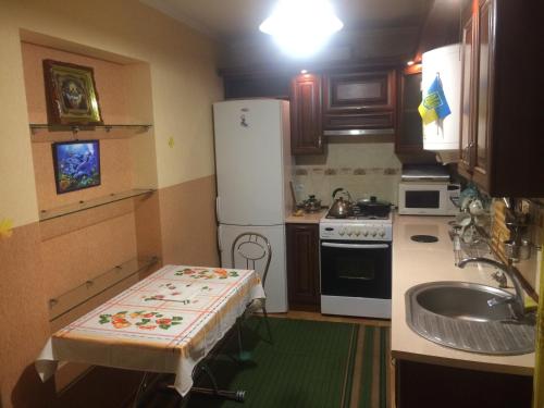 eine kleine Küche mit Spüle und Kühlschrank in der Unterkunft Rooms with Fortetsya View in Kamjanez-Podilskyj