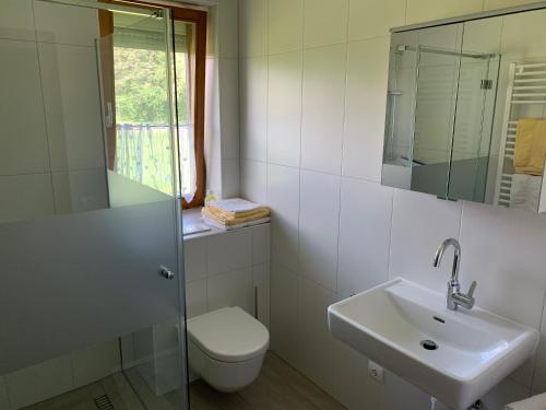 ein Badezimmer mit einem Waschbecken, einem WC und einem Spiegel in der Unterkunft Ferienwohnungen Wutte Josefine in Sankt Kanzian am Klopeiner See