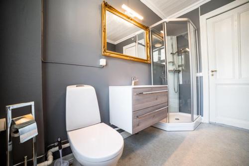 a bathroom with a toilet and a shower and a mirror at Lærdalsøren Motor Guesthouse in Lærdalsøyri