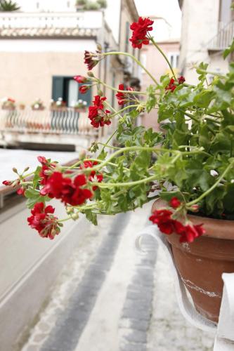 a potted plant with red flowers on a balcony at I Soffitti Dimora Esclusiva in Tropea