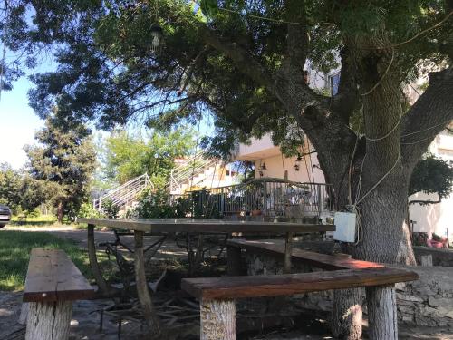 a picnic table under a tree in a park at Comfortable Apartment Near The Sea in Áyios Ilías