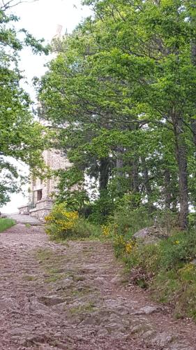 a dirt road with trees and flowers on it at Les Iris Chambres d’hôte in Niedermorschwihr