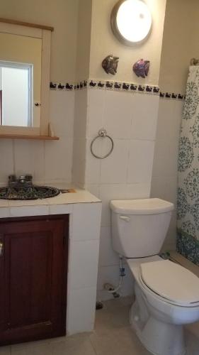 a bathroom with a white toilet and a sink at Sana El Jardin Secreto in Santiago de los Caballeros