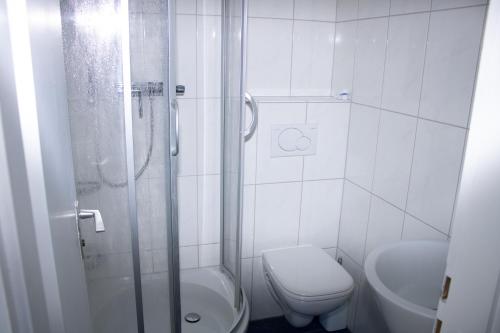 ヴィンターベルクにあるIn der Büre 10-Rのバスルーム(シャワー、トイレ、シンク付)
