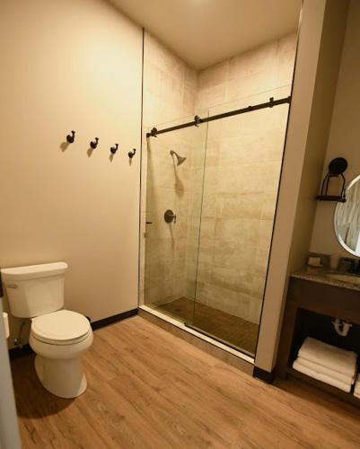 a bathroom with a toilet and a glass shower at Crosby Lofts in Crosby