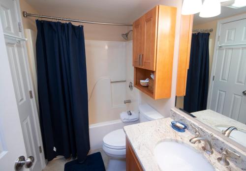 a bathroom with a sink and a toilet and a shower at Winterplace on Okemo Mountain in Ludlow