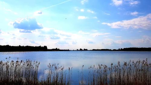 Fotografia z galérie ubytovania Naturalny domek z banią ruską v destinácii Siedliszcze