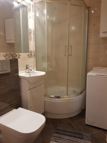 a bathroom with a shower and a toilet and a sink at Apartament Puck in Puck