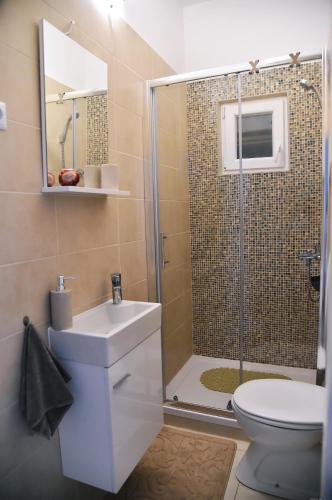 a bathroom with a shower and a sink and a toilet at Donatella in Rijeka
