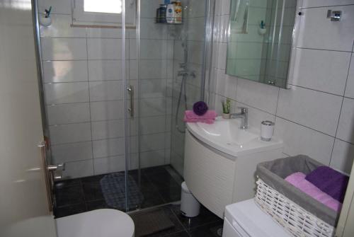 a bathroom with a shower and a toilet and a sink at Vacation home Kairos in Sumartin