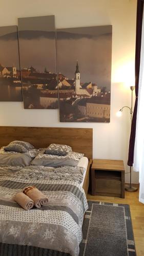 two beds in a bedroom with pictures on the wall at Sarolt Apartman in Veszprém