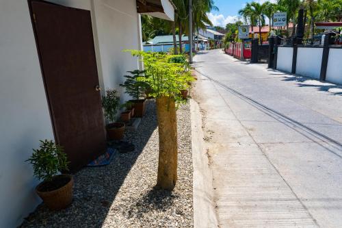 モアルボアルにあるIsland Girl Bed and Breakfastの建物横の歩道脇の木