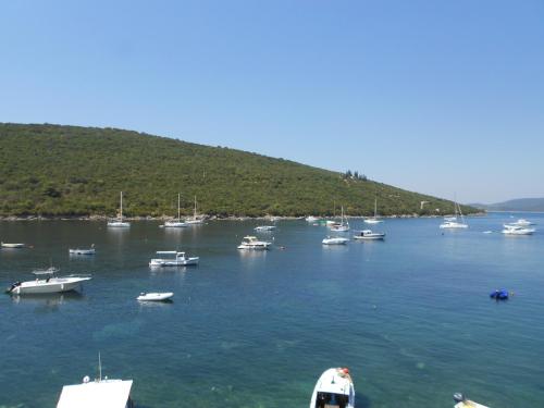 a bunch of boats in a large body of water at Apartments Vila Lazarevic in Tivat