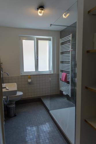 a bathroom with a shower and a toilet and a sink at Anna's Siedlungshäusle in Herrenberg