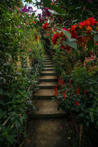 Ecotones Munnar by Eden Environs – Photos 4