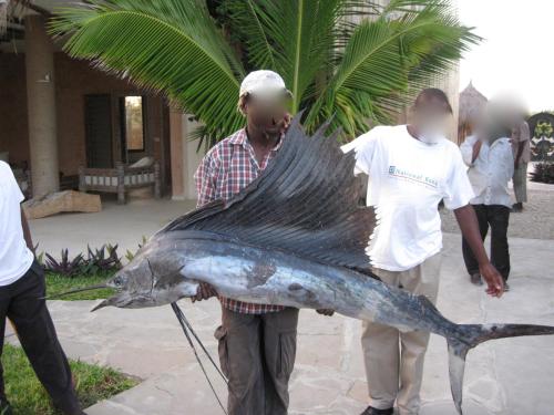 a man holding a dead fish with two children at Fortamu Twiga-House in Watamu