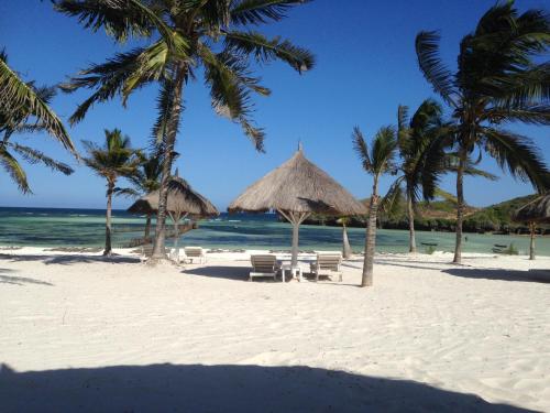 a beach with chairs and umbrellas and the ocean at Fortamu Twiga-House in Watamu