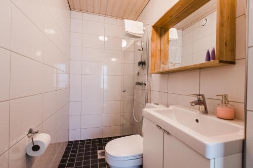 La petite salle de bains est pourvue d'un lavabo et de toilettes. dans l'établissement Aurora Estate, à Ylläsjärvi