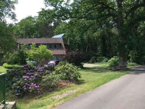 a house with a yard with flowers and a driveway at Ferienwohnung am Thalenbusch in Westerstede