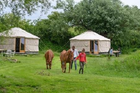 Άλλα ζώα σε αυτό το bed & breakfast ή στη γύρω περιοχή