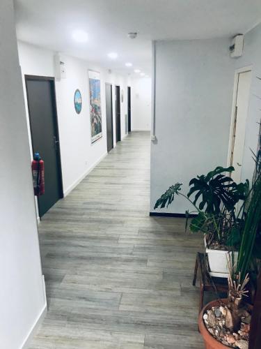 a hallway of an office with potted plants at Hôtel Au Valéry in Sète