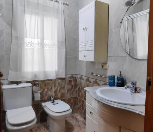 y baño con aseo, lavabo y espejo. en El piso perfecto para disfrutar de Zamora, en Zamora