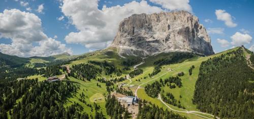 a mountain in the middle of a green valley at Hotel Sella***s in Selva di Val Gardena