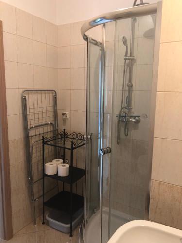 a bathroom with a glass shower with a toilet at Apartamenty w Stegnie in Stegna