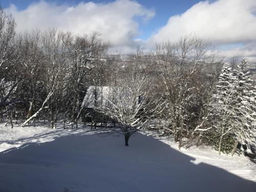un patio cubierto de nieve con un árbol en el medio en Skyleaf E_17 Condo, en Sugar Mountain