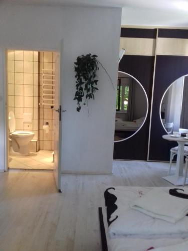 a bathroom with a shower and a toilet in a room at Biały apartament in Polanica-Zdrój