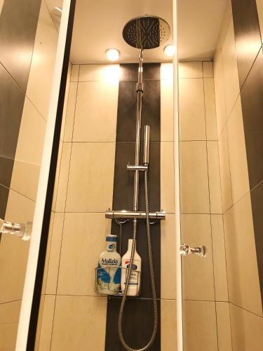 a shower with a shower head and a shower at Casa Soave B&B in Alba