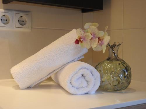 a towel and a vase on a shelf in a bathroom at Apartment Barbara in Mutters