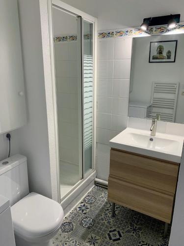 une salle de bain avec toilettes, lavabo et douche dans l'établissement FRONT DE MER 11 - JARDIN - THALASSO, à Cabourg