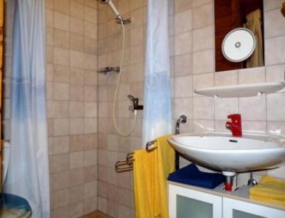 a bathroom with a sink and a shower at Privatzimmer R. & R. Andersen in Lehnin