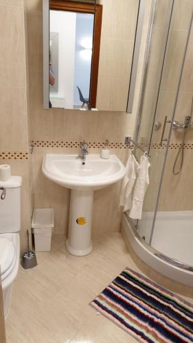a bathroom with a sink and a shower at D&M APARTMAN 2 in Selce